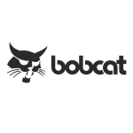bobcat